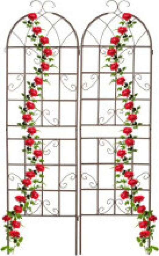 Trellis 180 cm sett med 2 brune