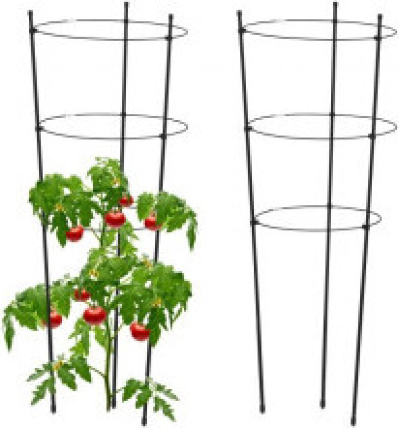 Plantestøtte 76 cm sort, sett med 2 stk