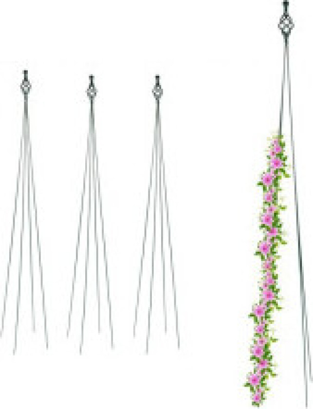 Trellis sett med 4