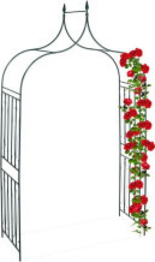 Rosebue med dekor