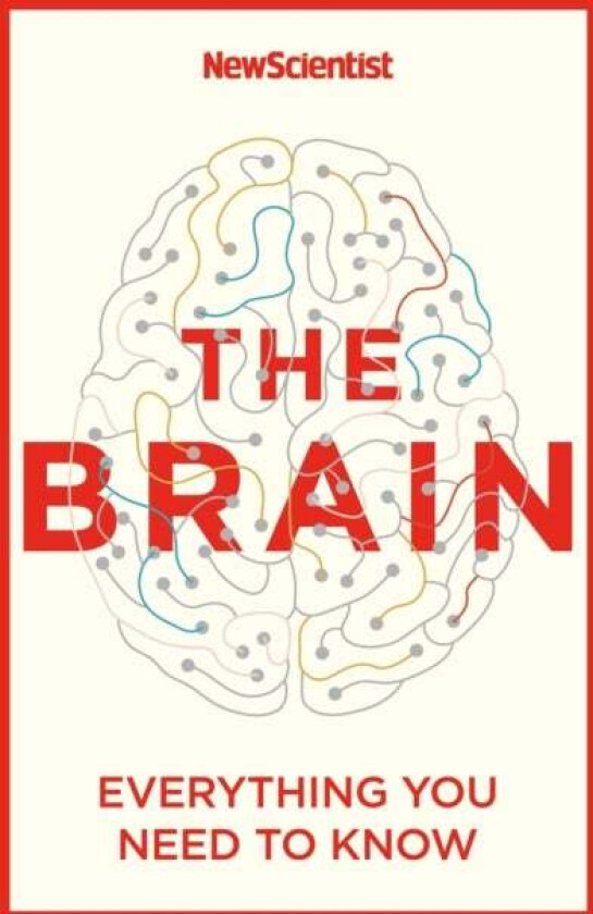 The Brain av New Scientist