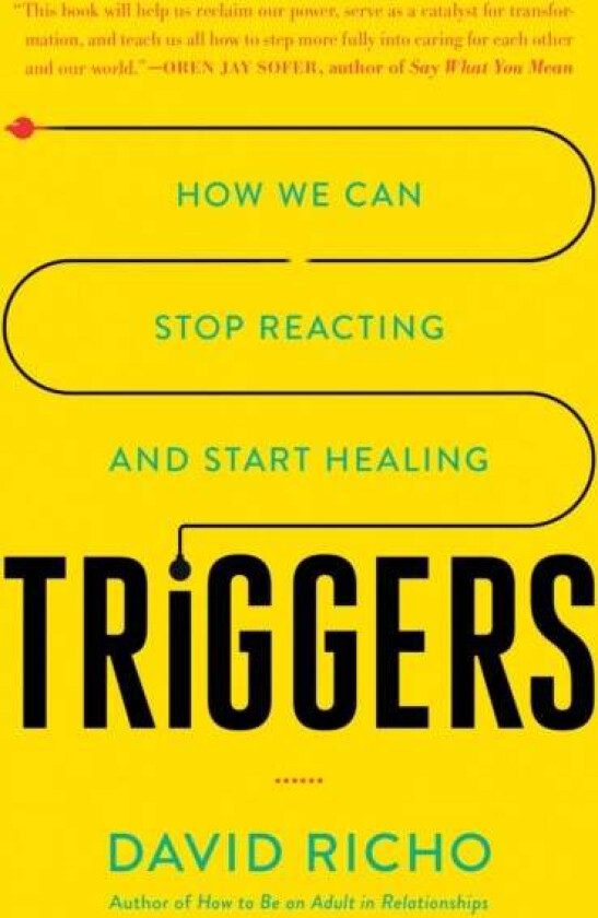 Triggers av David Richo