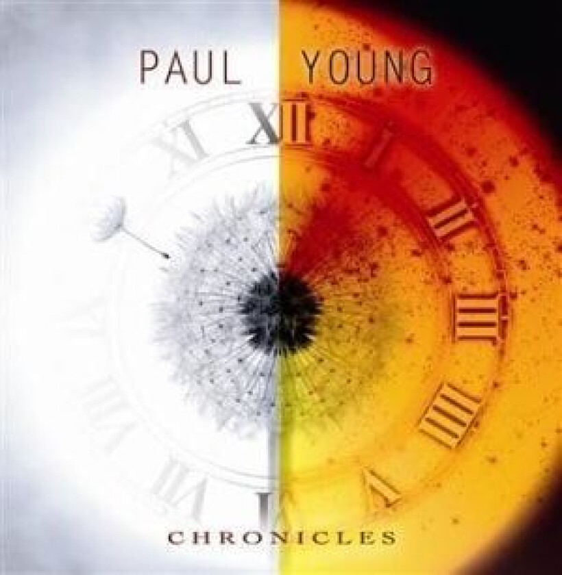 Paul Young - Chronicles