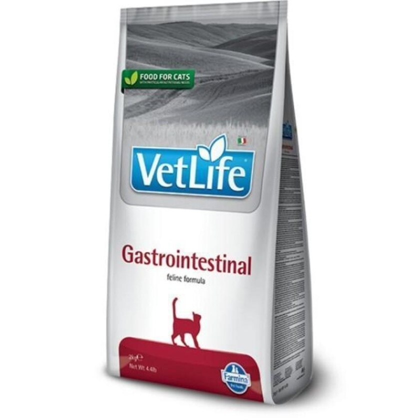 VetLife Gastroentestinal Tørrfôr til katt 2 kg