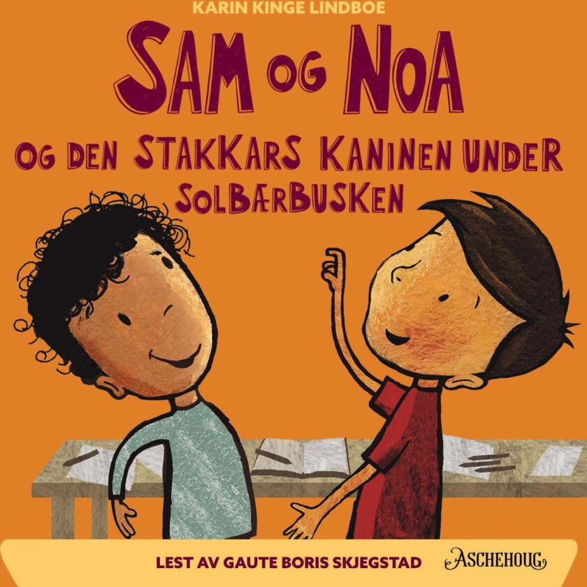 Sam og Noa og den stakkars kaninen under solbærbusken av Karin Kinge Lindboe