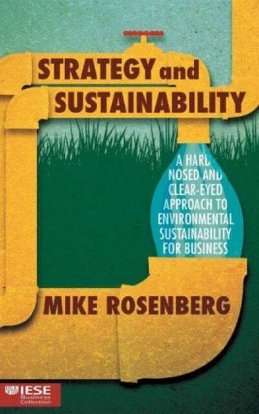 Strategy and Sustainability av Mike Rosenberg