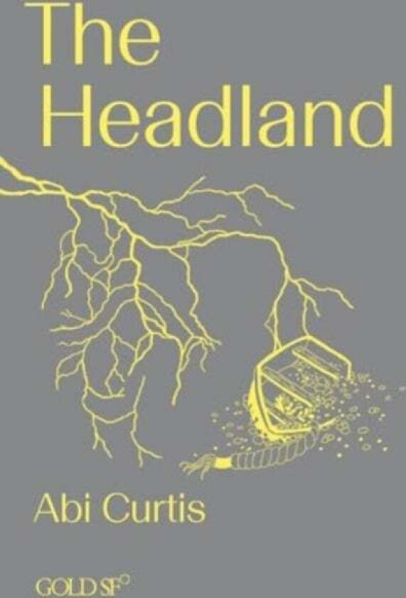 The Headland av Abi Curtis