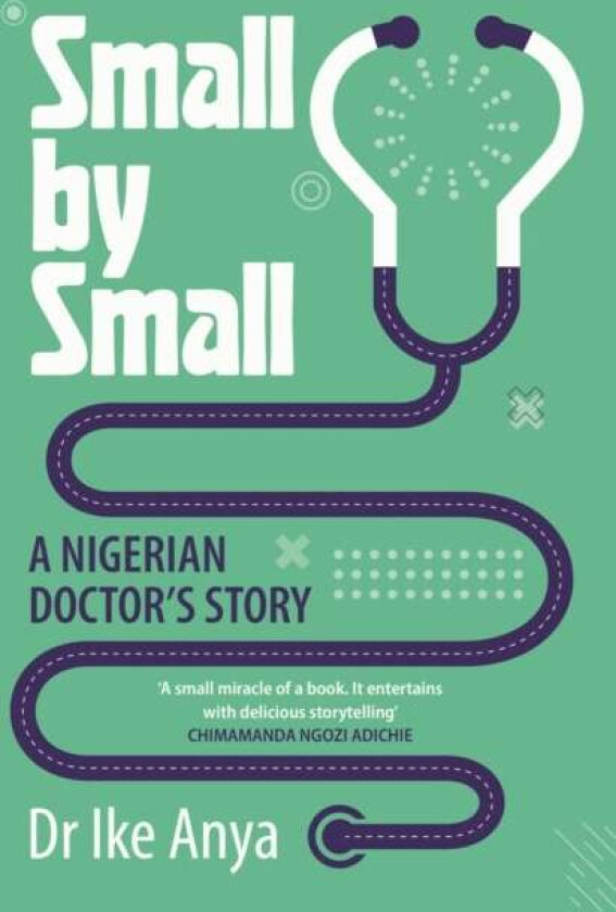 Small by Small av Dr Ike Anya