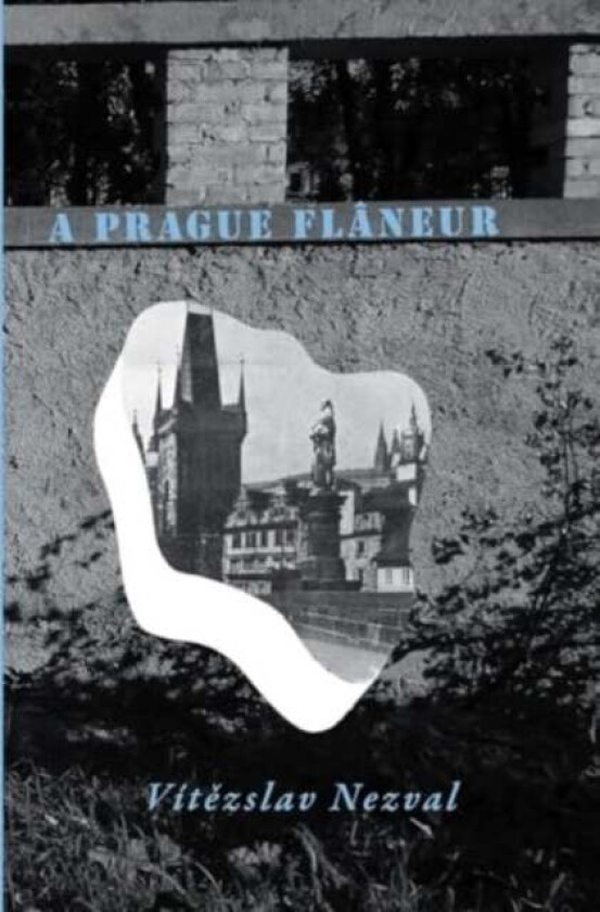 A Prague Flaneur av Vitezslav Nezval