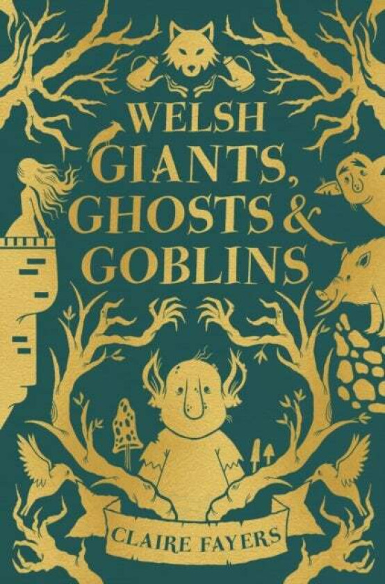 Welsh Giants, Ghosts and Goblins av Claire Fayers