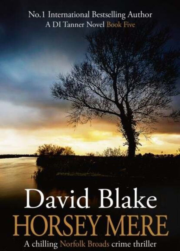 Horsey Mere av David Blake