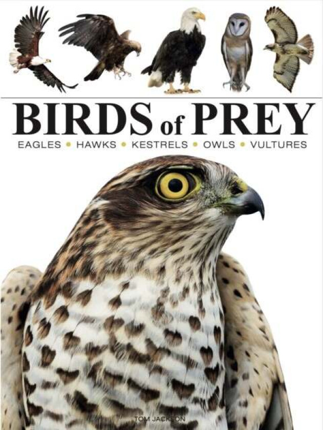Birds of Prey av Tom Jackson