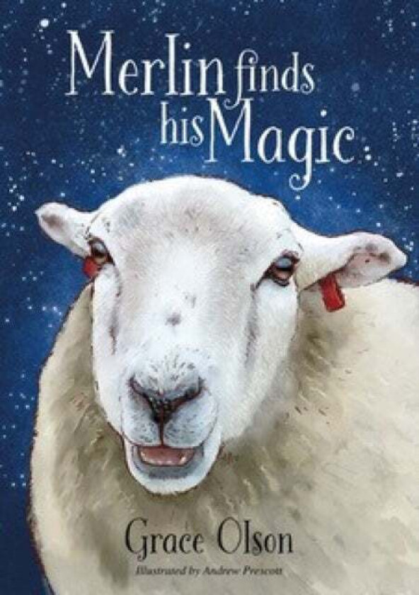 Merlin finds his Magic av Grace Olson