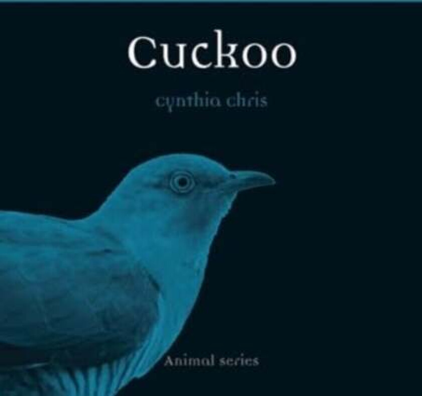 Cuckoo av Cynthia Chris