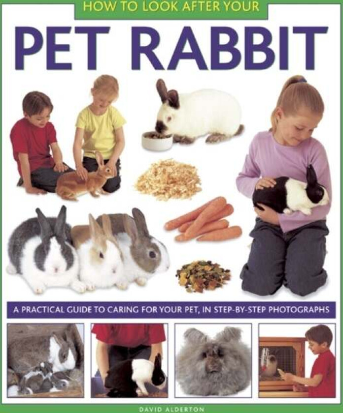 How to Look After Your Pet Rabbit av David Alderton