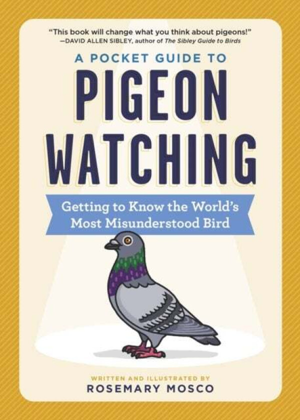 A Pocket Guide to Pigeon Watching av Rosemary Mosco