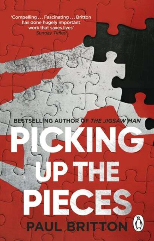 Picking Up The Pieces av Paul Britton