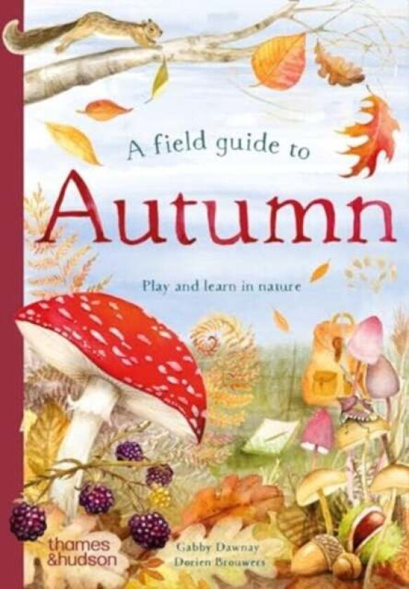 A Field Guide to Autumn av Gabby Dawnay