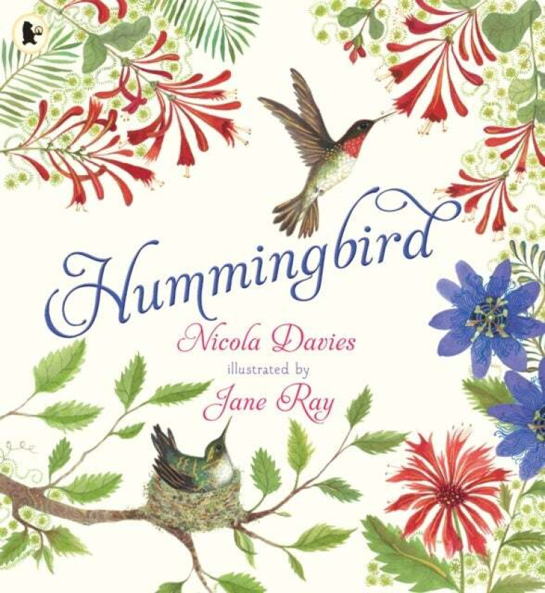 Hummingbird av Nicola Davies