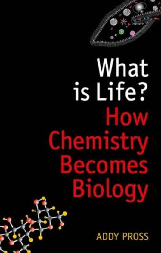 What is Life? av Addy (Professor of Chemistry Department of Chemistry Ben-Gurion University of the Negev) Pross