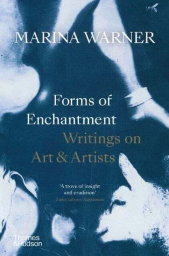 Forms of Enchantment av Marina Warner
