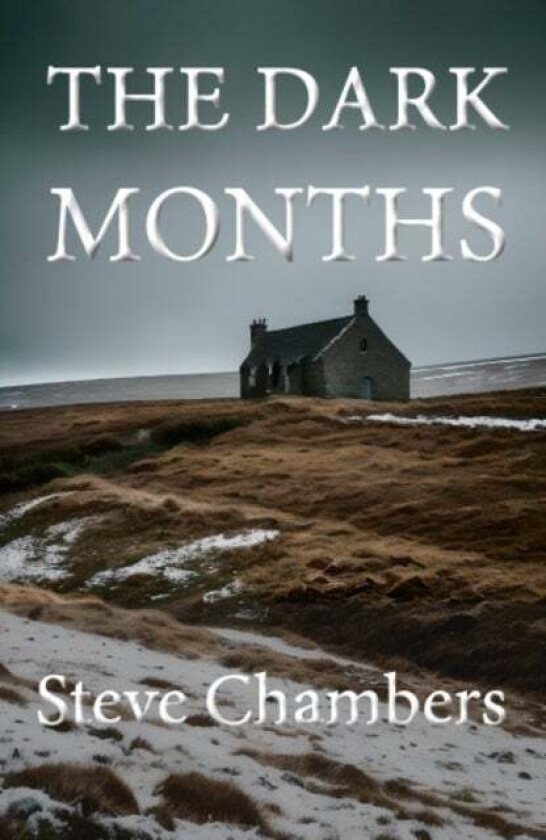 The Dark Months av Steve Chambers