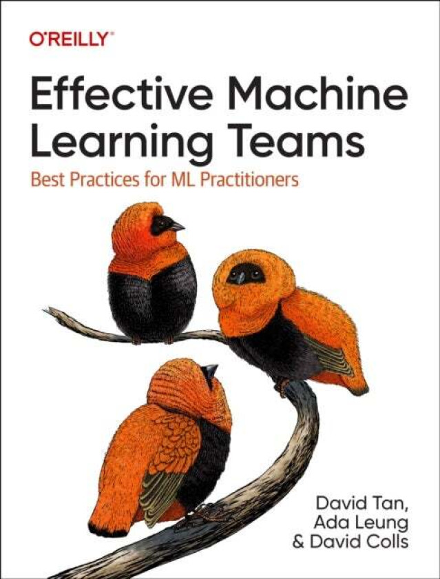 Effective Machine Learning Teams av David Tan, Ada Leung, David Colls