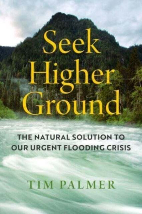 Seek Higher Ground av Tim Palmer