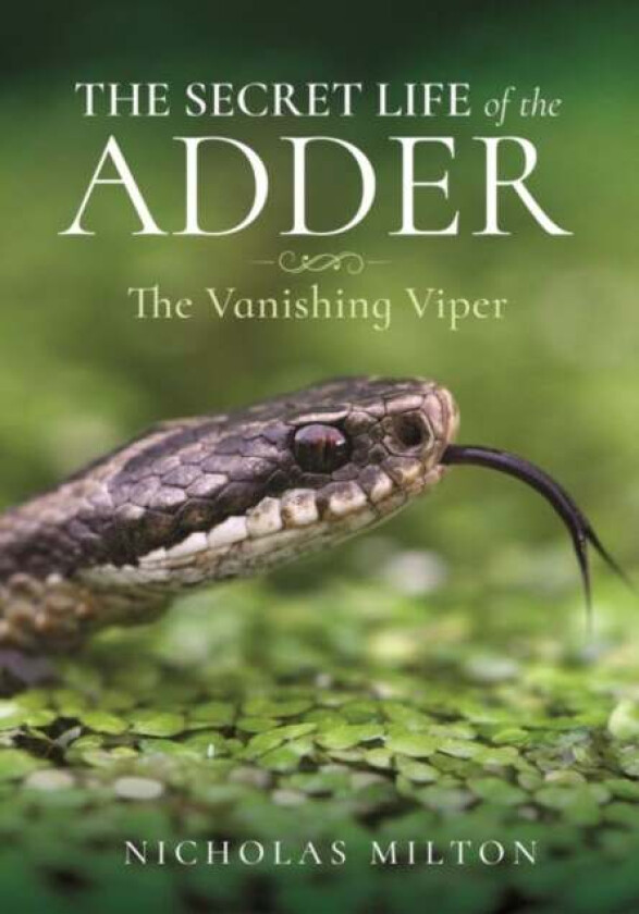 The Secret Life of the Adder av Nicholas Milton