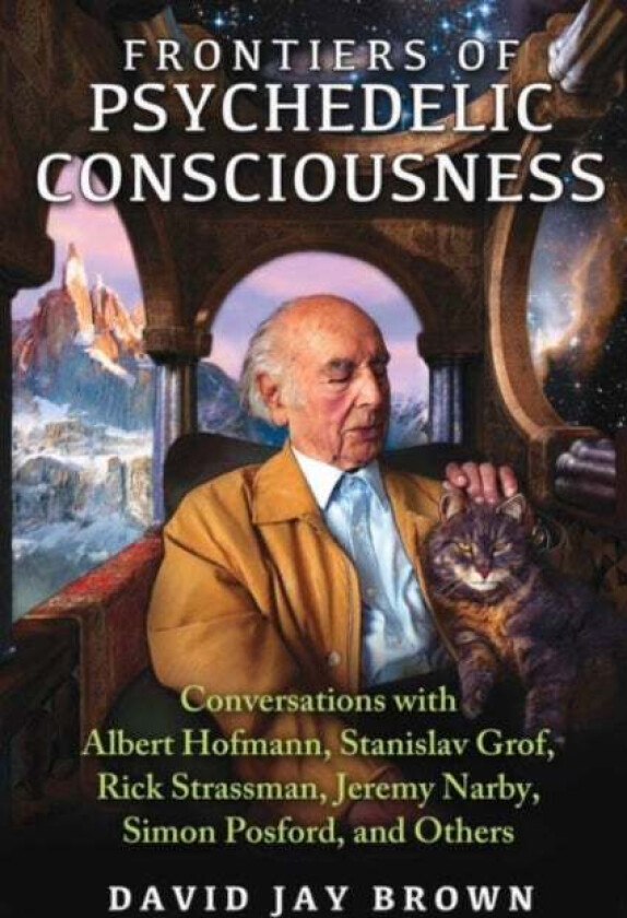 Frontiers of Psychedelic Consciousness av David Jay Brown