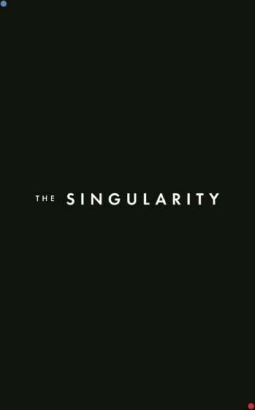 The Singularity av Mat Groom