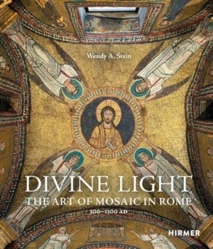 Divine Light av Wendy A. Stein