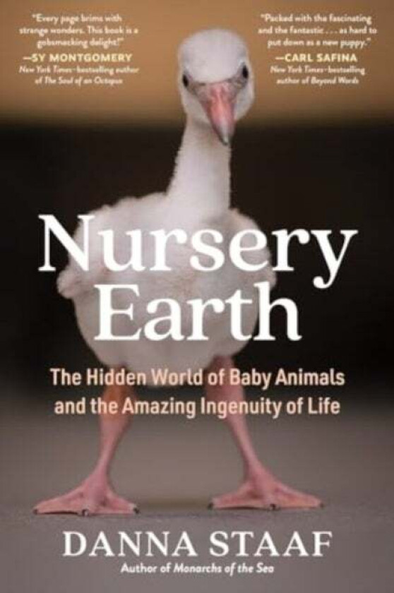Nursery Earth av Danna Staaf