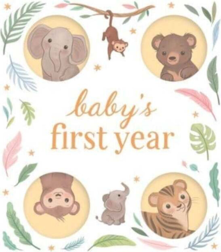 Baby's First Year av Igloo Books