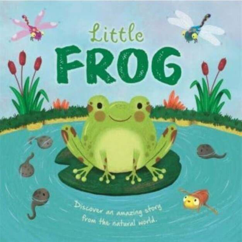 Little Frog av Autumn Publishing