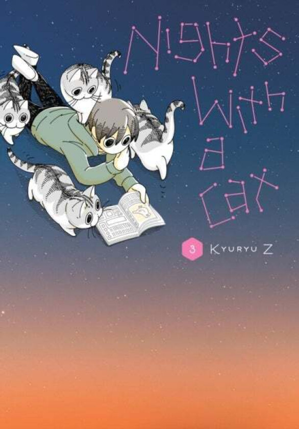 Nights with a Cat, Vol. 3 av Kyuryu Z