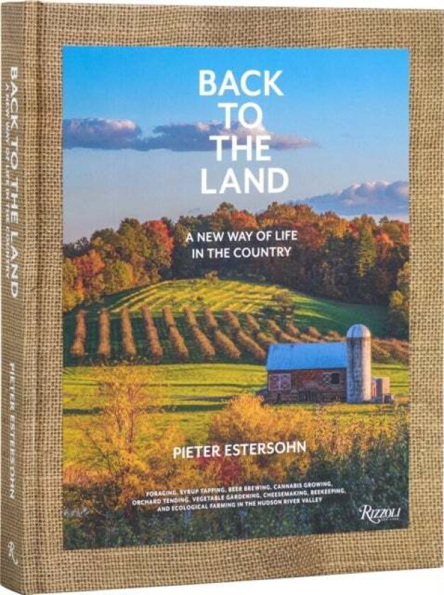 Back to The Land: A New Way of Life in the Country av Pieter Estersohn