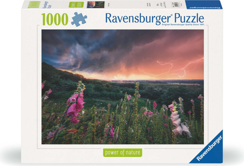 Puslespill 1000 Drømmende Torden Ravensburger