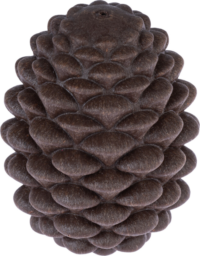 intelligens leketøy kongle - L 12 x B 9 x H 9 cm