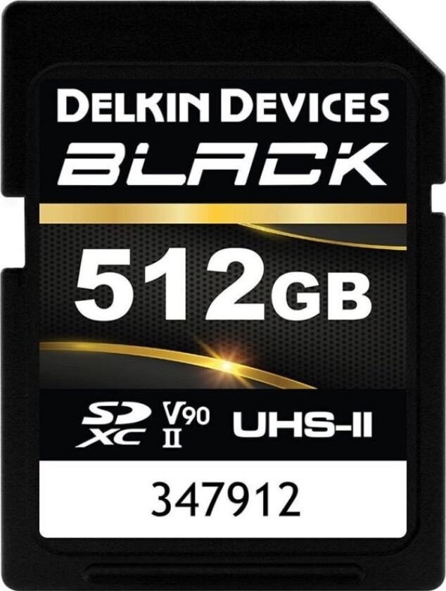 Minnekort Delkin Sdxc Black Rugged Uhs-Ii R300/W250 (V90) 512Gb (Ny)