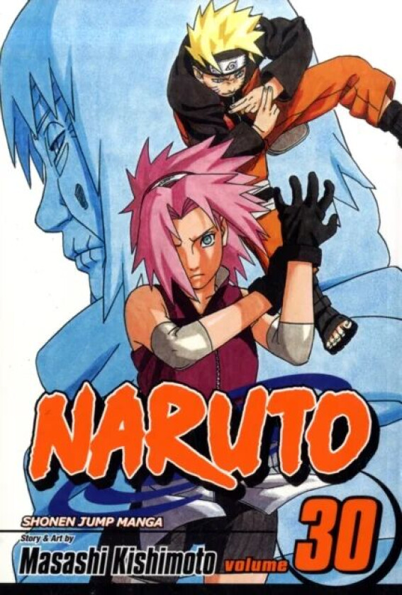 Naruto, Vol. 30 av Masashi Kishimoto