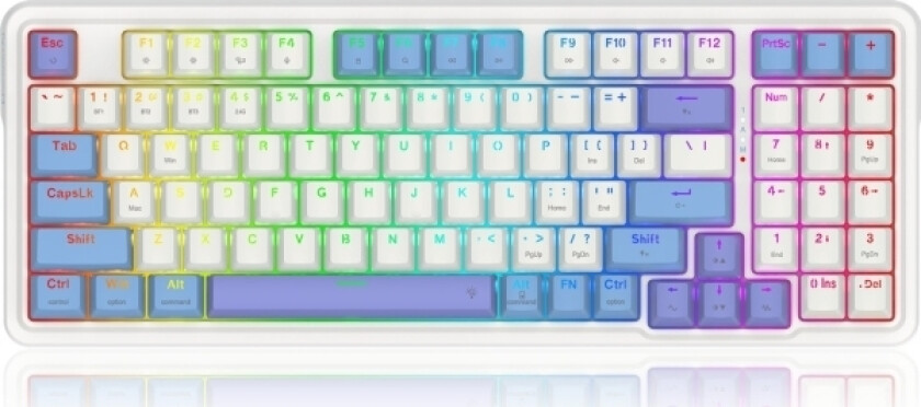 Klawiatura Redragon Gloria Pro Bumblebee (K664wbp-Rgb-Pro)