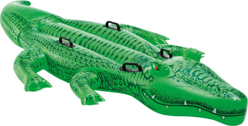 Gigantisk ridegator 203x114 cm