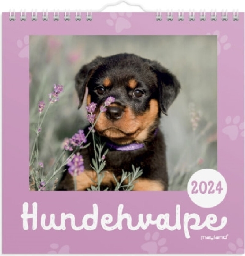 Vægkalender Hundehvalpe 2024
