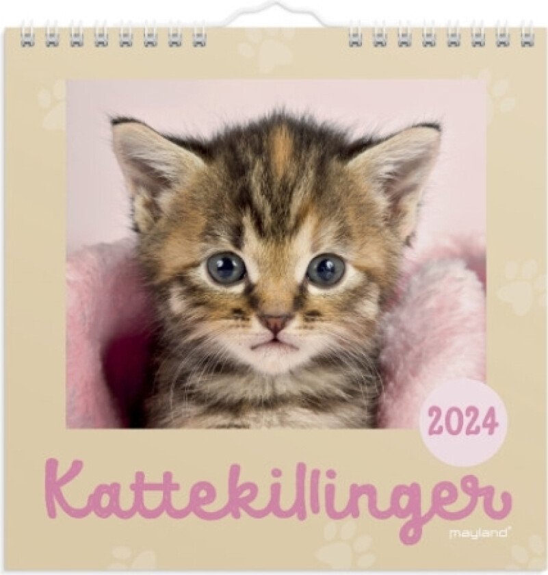Vægkalender Kattekillinger 2024