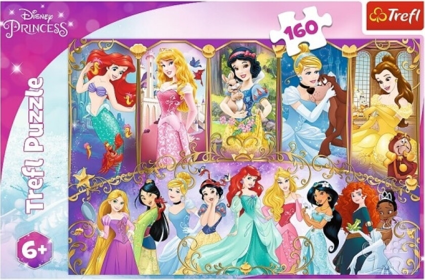 Puzzle 160El Portraits Of Princesses 15407 P12