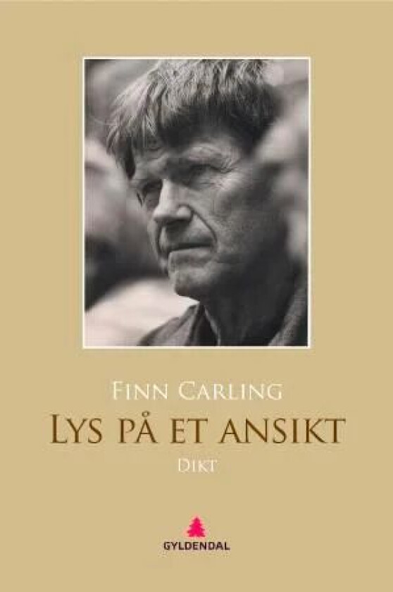 Lys på et ansikt av Finn Carling