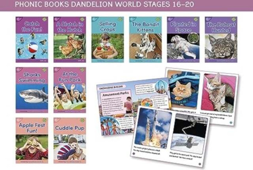 Phonic Books Dandelion World Stages 16-20 av Phonic Books