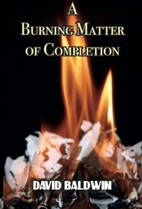 A Burning Matter of Completion av David Baldwin