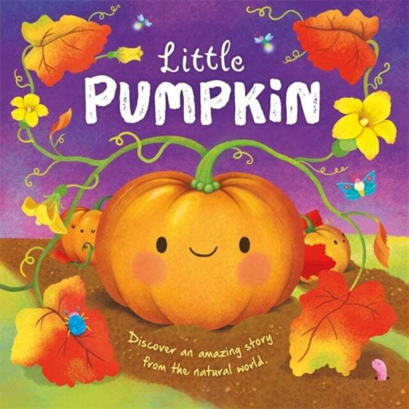 Little Pumpkin av Autumn Publishing